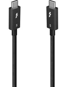 Lindy 31130 Cable Thunderbolt 1 m 80 Gbit/s Negro-1406867