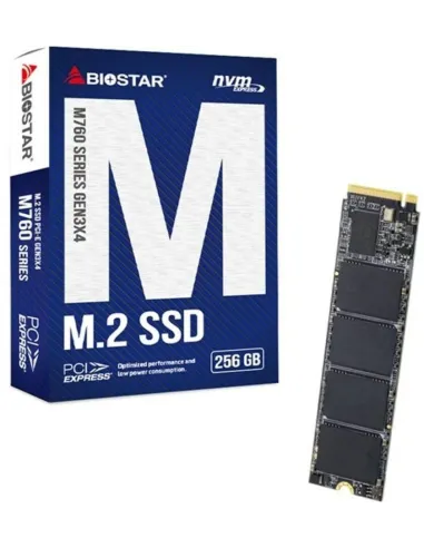 Biostar M760 256GB Disco Duro SSD PCIe Gen3x4 NVMe 1.3