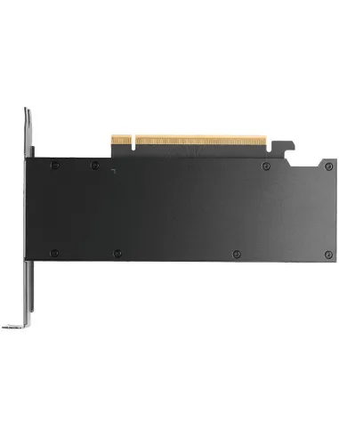 Tarjeta gráfica profesional PNY RTX PRO 2000 16GB GDDR7