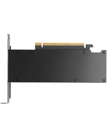 Tarjeta gráfica profesional PNY RTX PRO 2000 16GB GDDR7