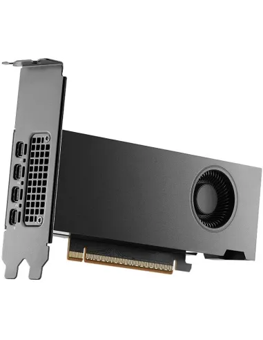 Tarjeta gráfica profesional PNY RTX PRO 2000 16GB GDDR7