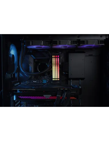 Kingston Fury Beast RGB KF560C36BBEAK2-64 DDR5 6000MHz 64GB (2x32GB) CL36 AMD EXPO Negra