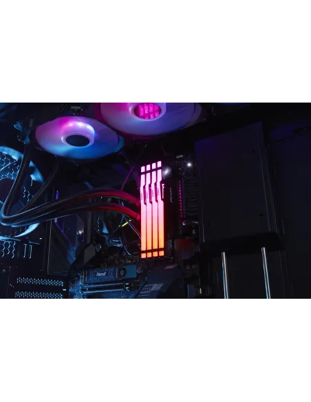 Kingston Fury Beast RGB KF560C36BBEAK2-64 DDR5 6000MHz 64GB (2x32GB) CL36 AMD EXPO Negra