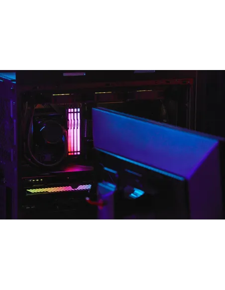 Kingston Fury Beast RGB KF560C36BBEAK2-64 DDR5 6000MHz 64GB (2x32GB) CL36 AMD EXPO Negra