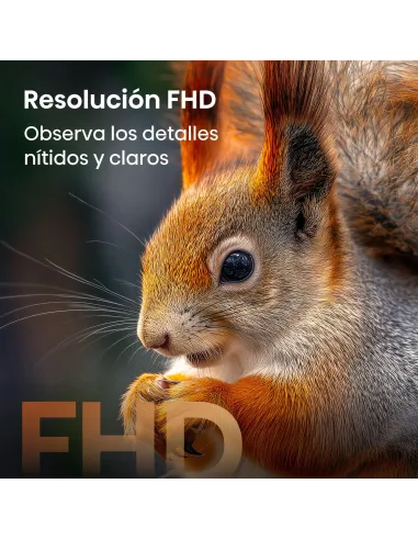 Hisense 32A5S: Resolución QLED Full HD 32" Smart TV HomeOS
