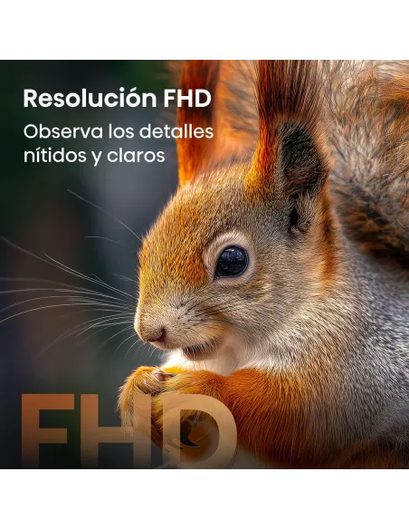 Televisor Hisense 40A5S: TV QLED 40" Full HD con eARC