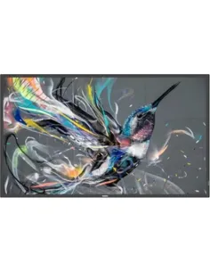 Philips Signage Solutions Q-Line 65BDL3511Q/02 4K UHD 60Hz IPS-1409271
