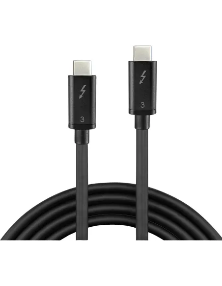Lindy 42855 USB a RS-232: convertidor serie 1,5 m