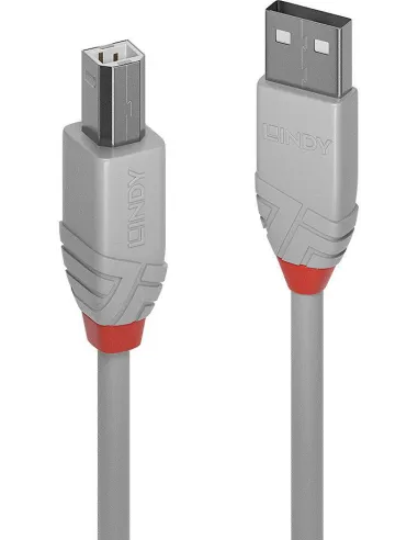 Lindy 36684 Cable USB-A 2.0 a USB-B 3 m gris