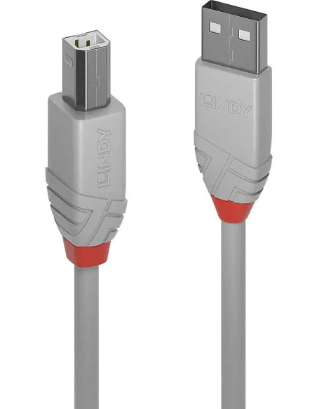 Lindy 36684 Cable USB-A 2.0 a USB-B 3 m gris