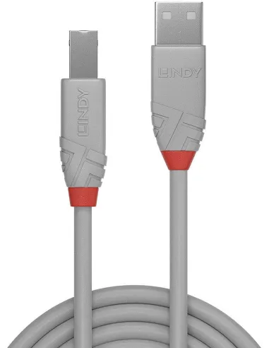 Cable USB 2.0 A a B de 3 m Lindy 36684 gris