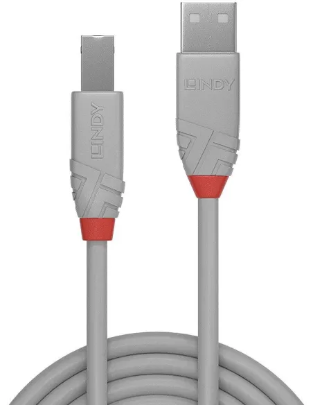 Cable USB 2.0 A a B de 3 m Lindy 36684 gris