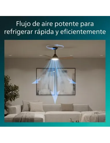 Ventilador de Techo con luz LED Philips Olas Negro