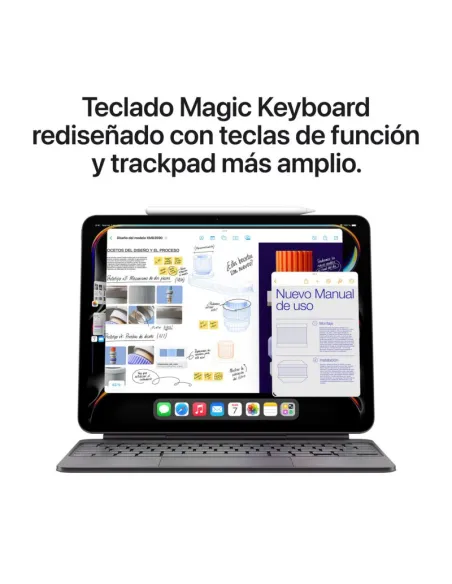 Tablet Apple iPad Pro 2024 13" Wifi + Cellular 2TB Plata