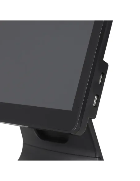 Iggual TPV AIO B156.88.N100 de 15,6" táctil con RS232