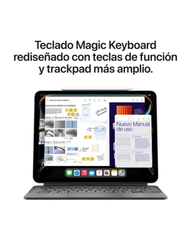 Apple iPad Pro 2024 13" Wifi 2TB Plata (MVX93TY/A)