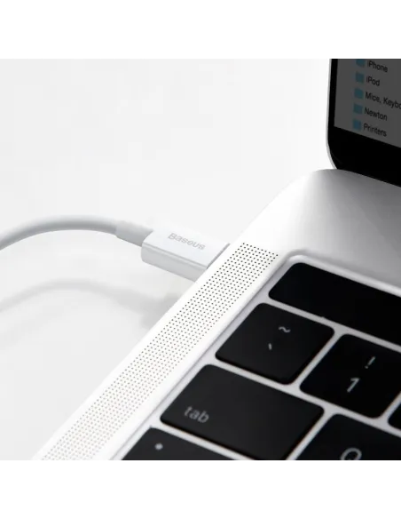 Cable USB-C a Lightning Baseus Silky 20W 1 m