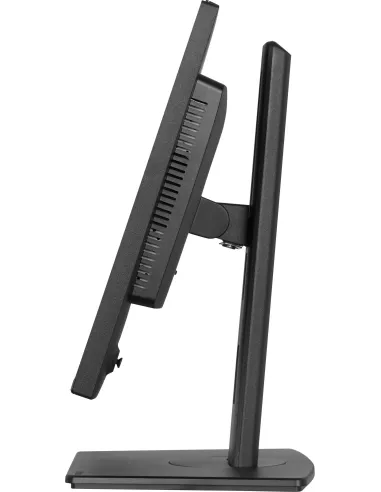 iiyama ProLite XB2497HSNH-B1 monitor USB-C RJ-45 100Hz