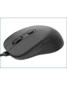 Iggual OFFICE-ELITE-PRO-6D Ratón óptico 3600DPI Negro