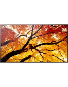 Sharp MultiSync M432 Pantalla Profesional 4K 42,5" UltraHD 4K 8 ms IPS Panel Antirreflejo USB-C-1402442