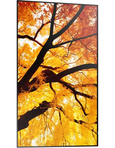 Pantalla Profesional 4K 42,5" UltraHD Sharp MultiSync M432