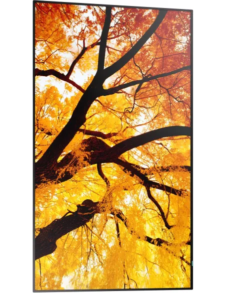 Pantalla Profesional 4K 42,5" UltraHD Sharp MultiSync M432