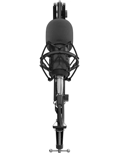 Genesis Radium 300 XLR Negro micro cardioide con brazo XLR