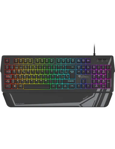 Genesis Rhod 350 RGB Negro Teclado Gaming