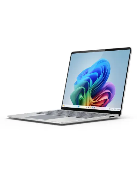 Microsoft Surface Pro 13" Copilot+ PC EP2-73234 con W11 Home