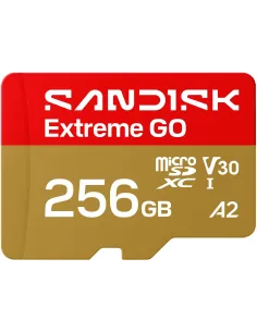SanDisk Extreme GO microSDXC 256 GB UHS-I V30 U3-1406155
