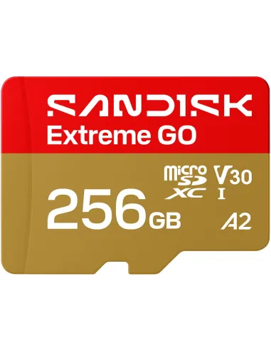 SanDisk Extreme GO microSDXC 256 GB UHS-I V30 U3