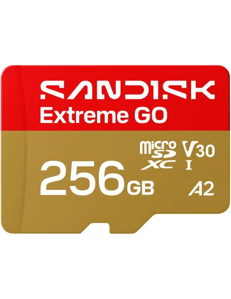 SanDisk Extreme GO microSDXC 256 GB UHS-I V30 U3