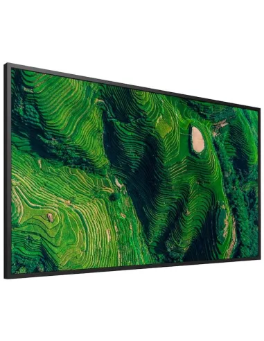 Pantalla Sony FW-43BZ35P 43" pantalla 4K HDR 24/7 500 nits