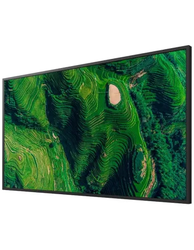 Pantalla Sony FW-43BZ35P 43" pantalla 4K HDR 24/7 500 nits