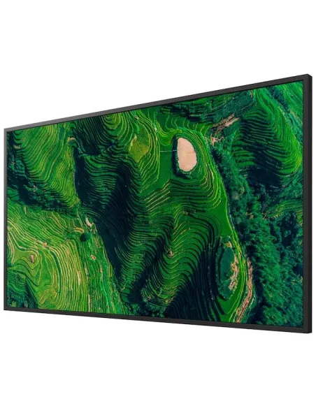Pantalla Sony FW-43BZ35P 43" pantalla 4K HDR 24/7 500 nits