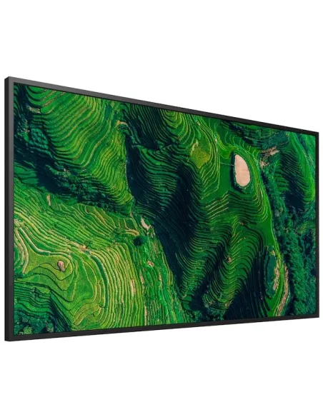 Sony FW-65BZ35P 65" pantalla 4K 24/7 500 nits Pro AV