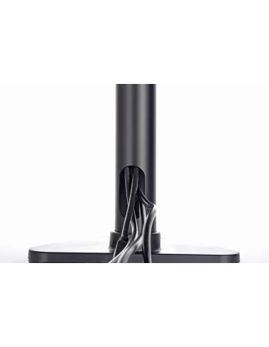 iiyama DS1002D-B1: soporte doble monitor VESA 32 pulgadas