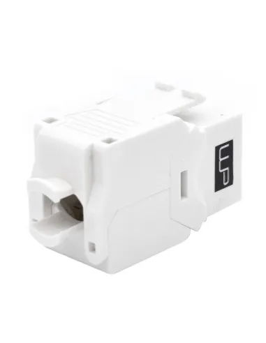 WP WPC-KEY-6AUP-TL/W Keystone Cat. 6A UTP RJ45 Hembra Blanco