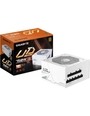 Gigabyte UD750GM PG5 V2 ICE 80 Plus Gold Full Modular