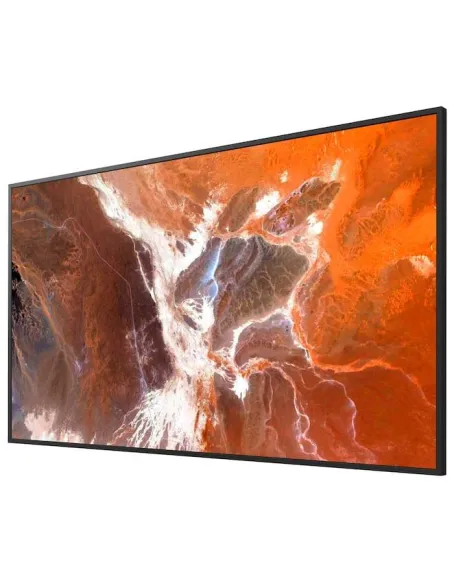 Sony Pro BRAVIA FW-65BZ30P: display 65" 4K Android 24/7
