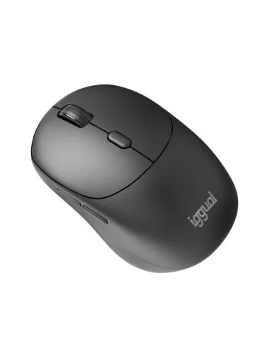 Ratón iggual NANO-OFFICE-6D Ratón inalámbrico con 1600 DPI Negro 6 Botones