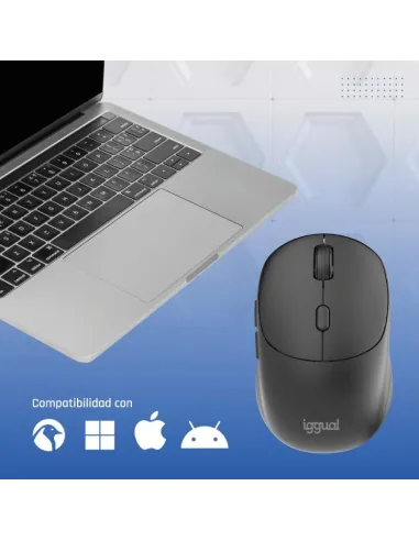 Ratón iggual NANO-OFFICE-6D Ratón inalámbrico con 1600 DPI