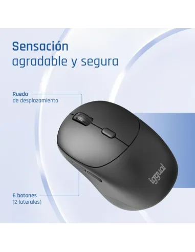 Ratón iggual NANO-OFFICE-6D Ratón inalámbrico con 1600 DPI