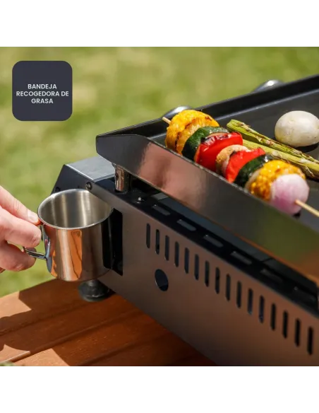 Black+Decker BXOP4900E plancha de gas con 2 quemadores 4900W