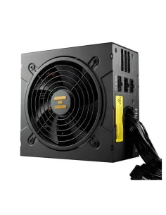 FSP Hydro GT PRO 1000W 80 PLUS Gold Semi-Modular Negro