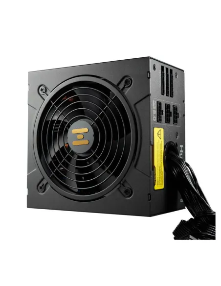 FSP Hydro GT PRO 1000W 80 PLUS Gold Semi-Modular Negro