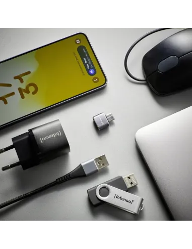 Intenso MIX480 Kit de 3 Adaptadores USB 2.0 en color gris