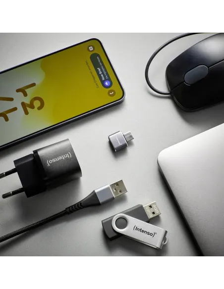 Intenso MIX480 Kit de 3 Adaptadores USB 2.0 en color gris