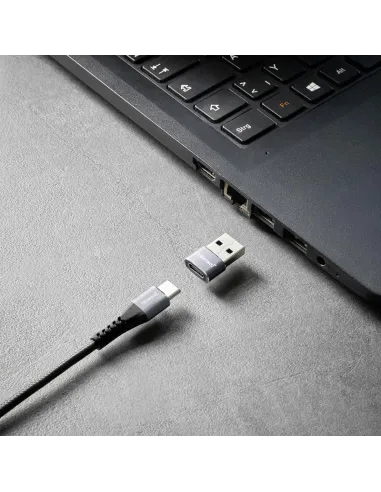 Intenso MIX480 Kit de 3 Adaptadores USB 2.0 en color gris