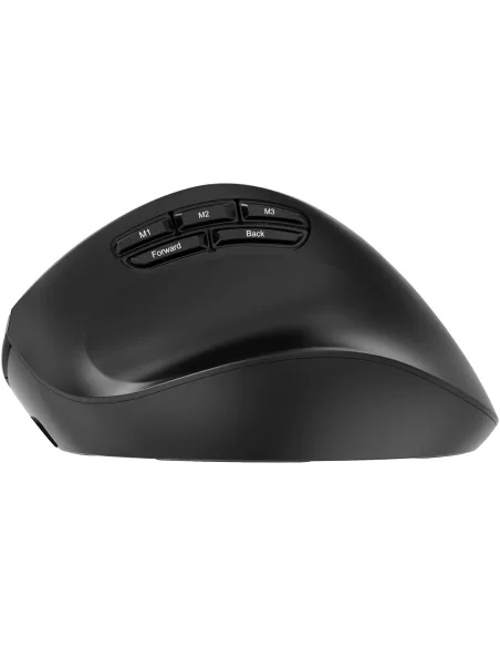 Ratón ergonómico inalámbrico USB-C Gembird MUSW3-9B-01